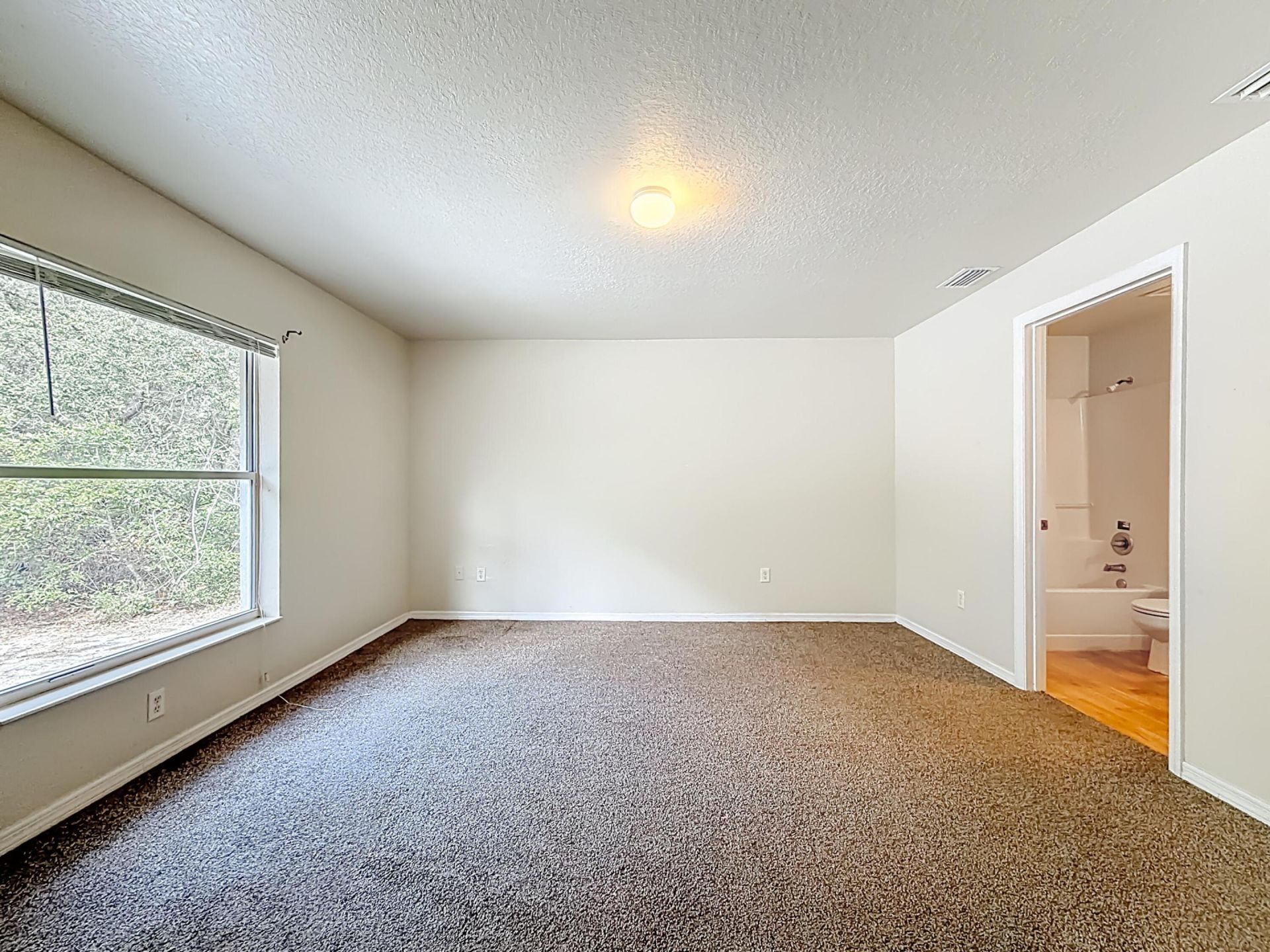 50 Malauka Pass, Ocklawaha, FL 32179 Photo