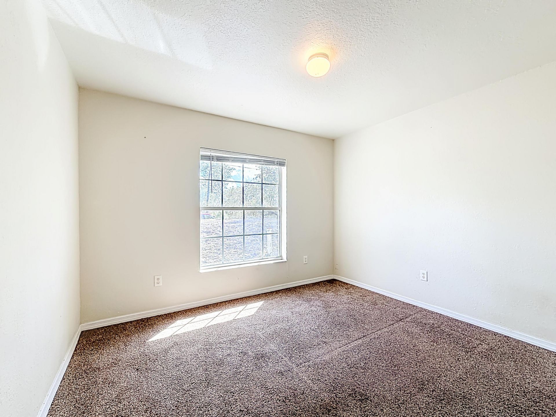 50 Malauka Pass, Ocklawaha, FL 32179 Photo