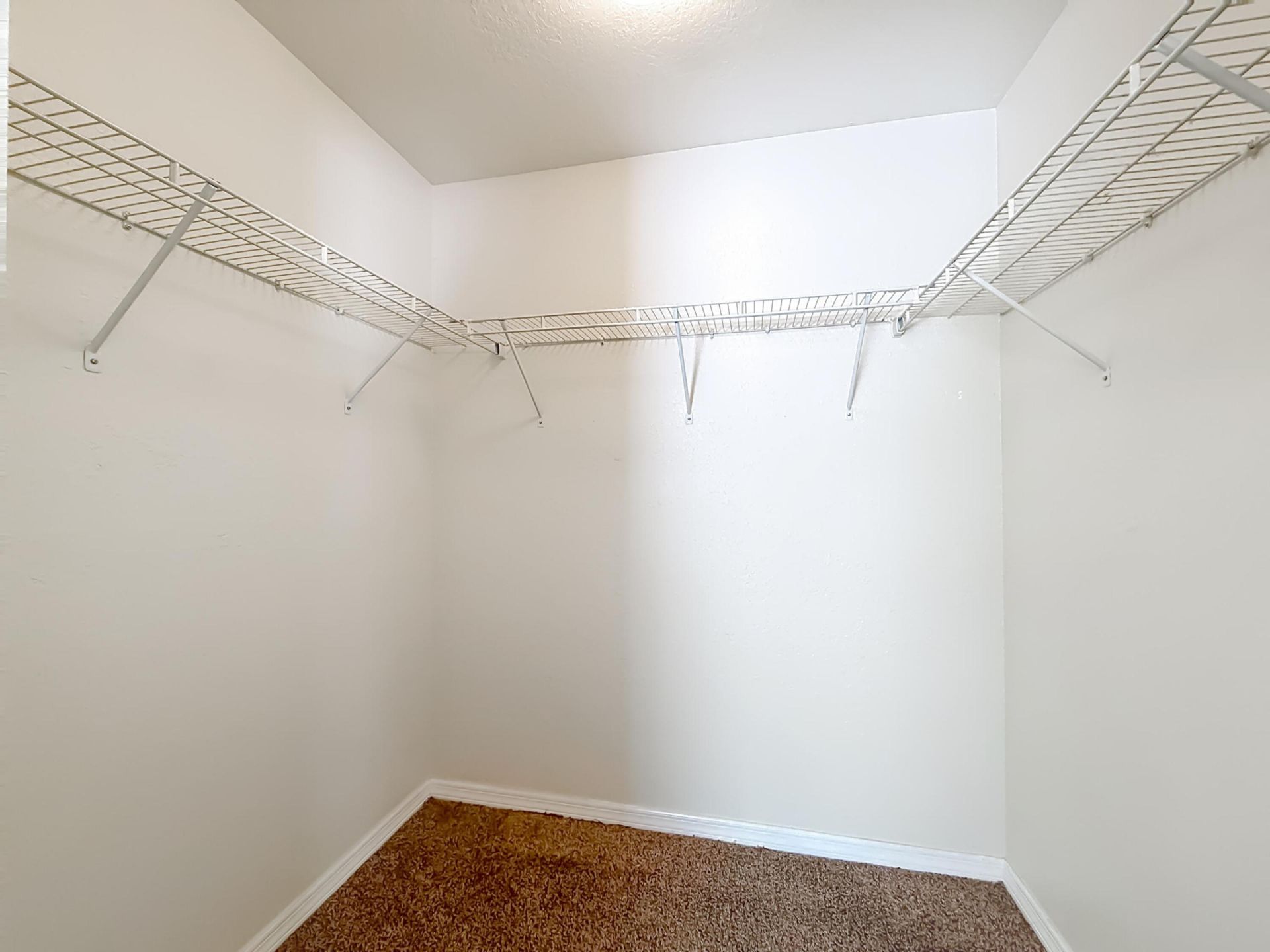 50 Malauka Pass, Ocklawaha, FL 32179 Photo