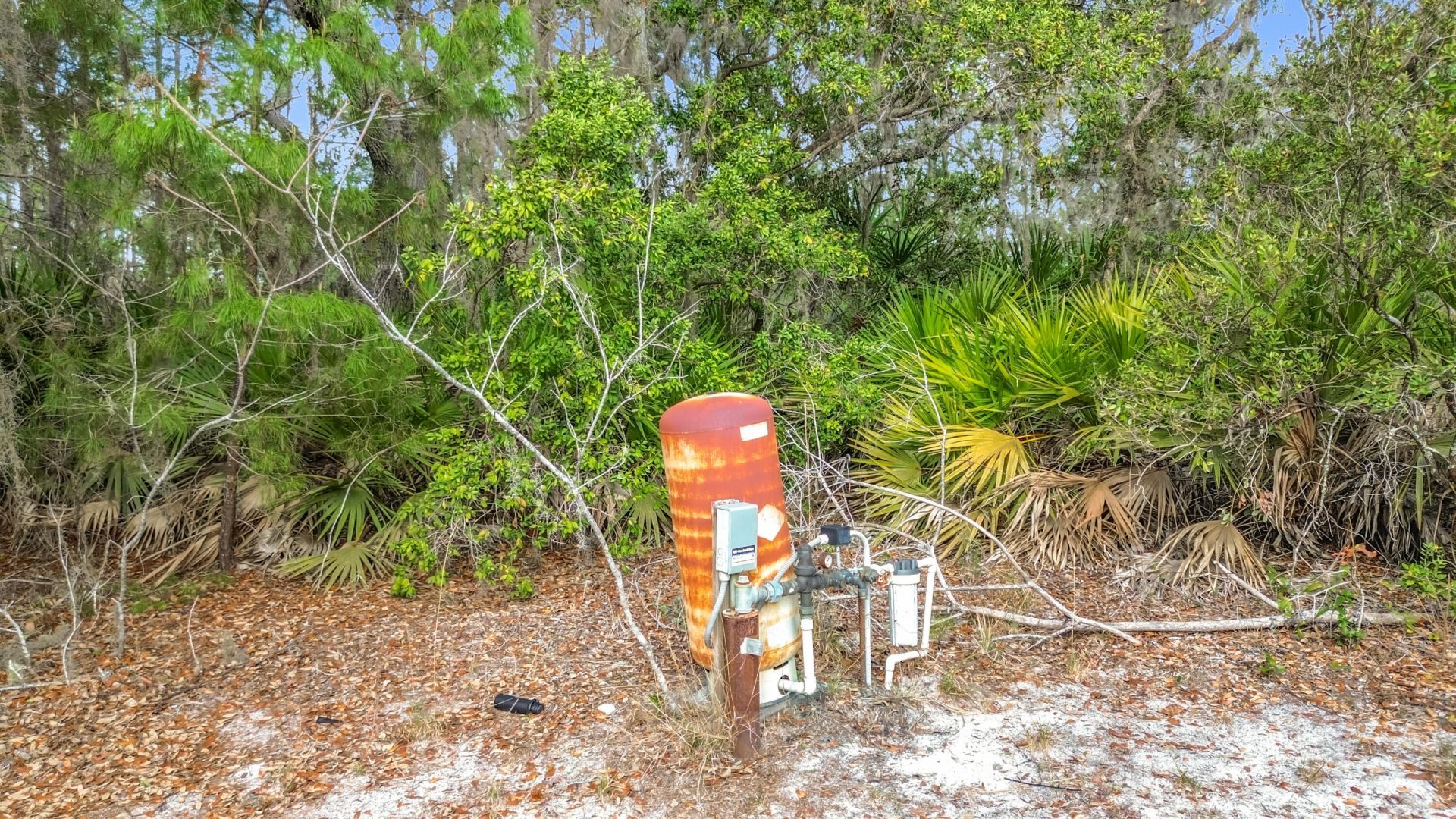 50 Malauka Pass, Ocklawaha, FL 32179 Photo
