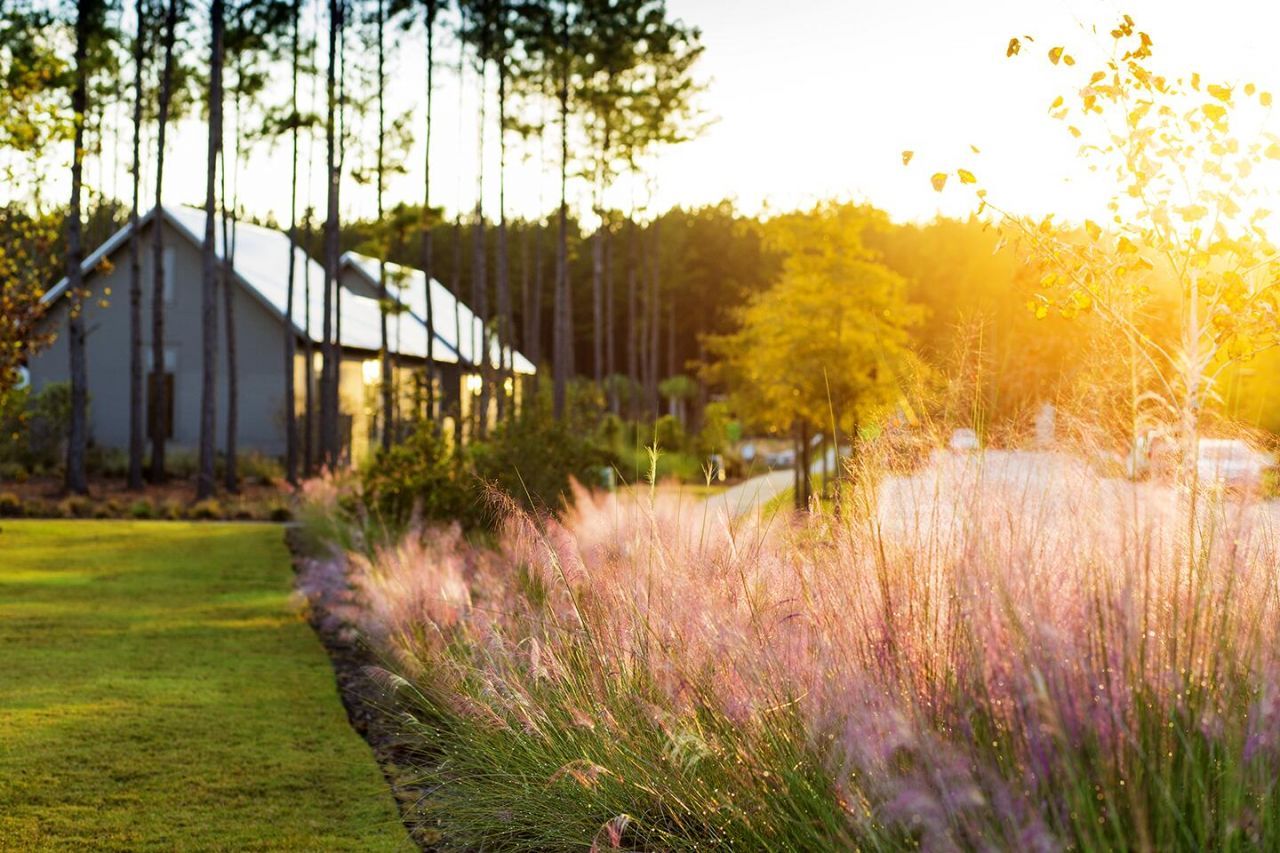 304 Trailmore Lane Photo 67