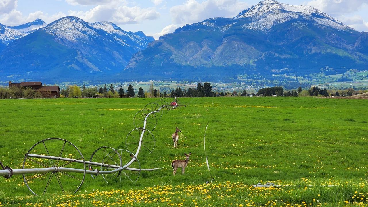 Lot D Prestige Way, Corvallis, MT 59828 Main Photo