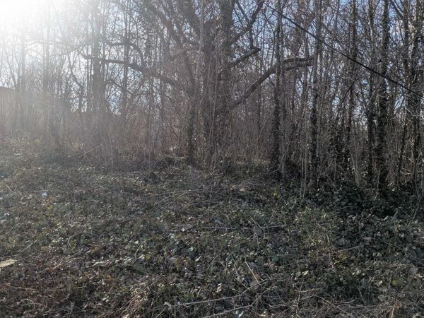 1429 Lewis Ave, Knoxville, TN 37920