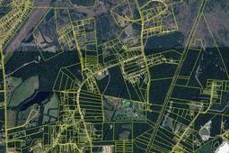 170 Field Place photo 4