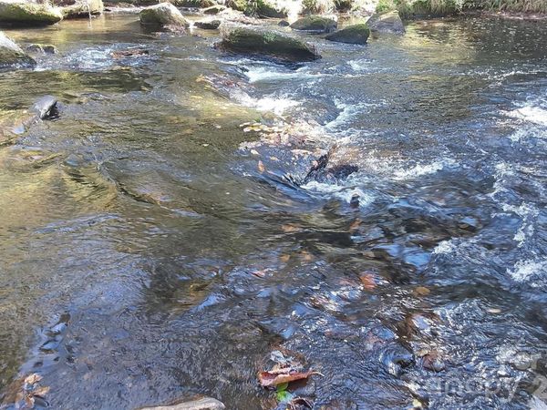 #24 Heritage Drive, Sapphire, NC 28774