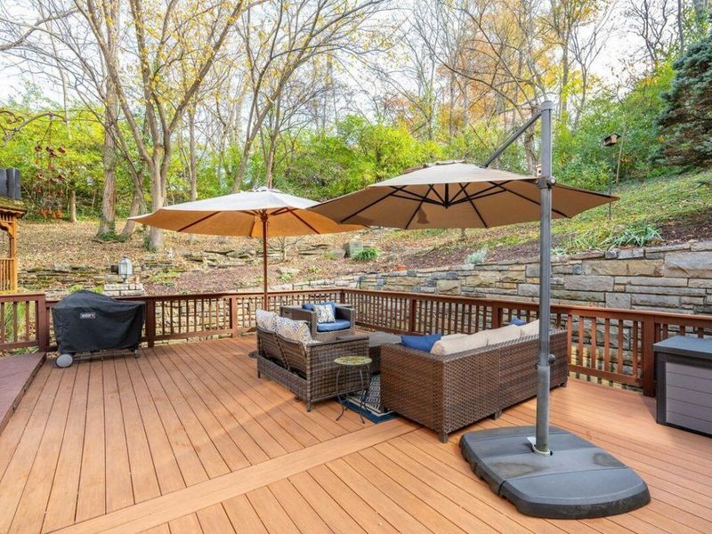 1199 Devou Woods Drive, Covington, KY 41011 Photo 37