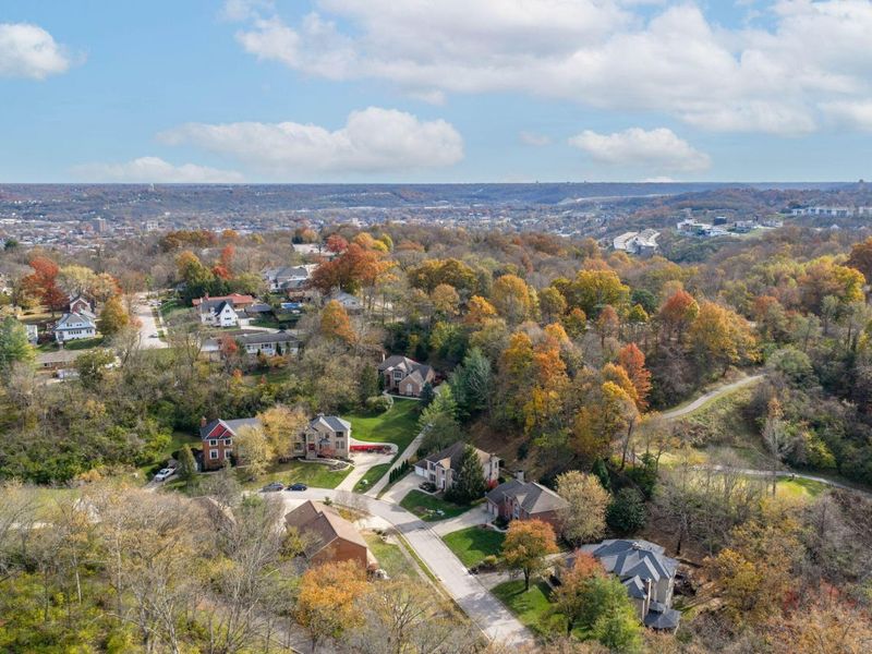 1199 Devou Woods Drive, Covington, KY 41011 Photo 5