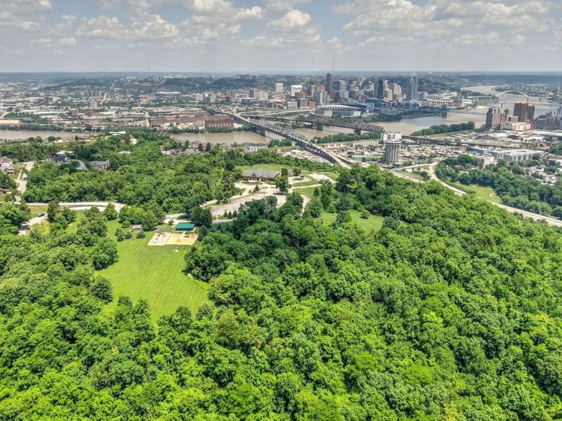 1199 Devou Woods Drive, Covington, KY 41011 Photo 50