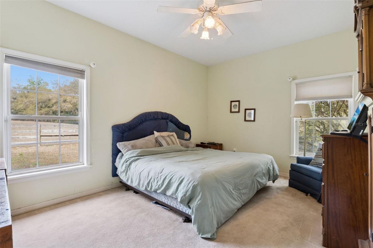 22841 Stallion Drive, Sorrento, FL 32776 Photo