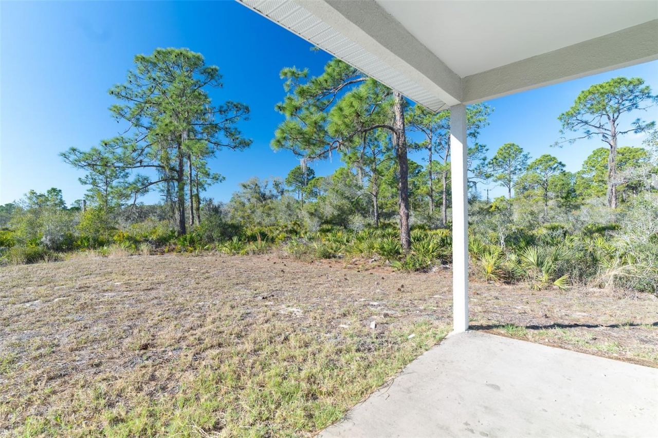 1403 Bittersweet Street, Lake Placid, FL 33852 Photo