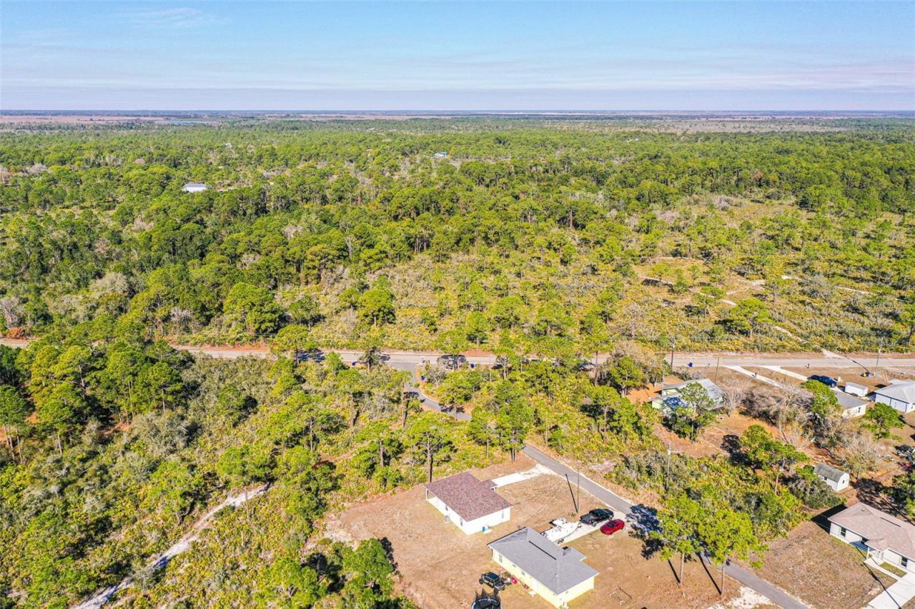 1403 Bittersweet Street, Lake Placid, FL 33852 Photo