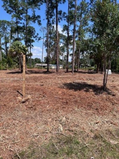 718 Columbus Avenue, Lehigh Acres, FL 33972 Photo