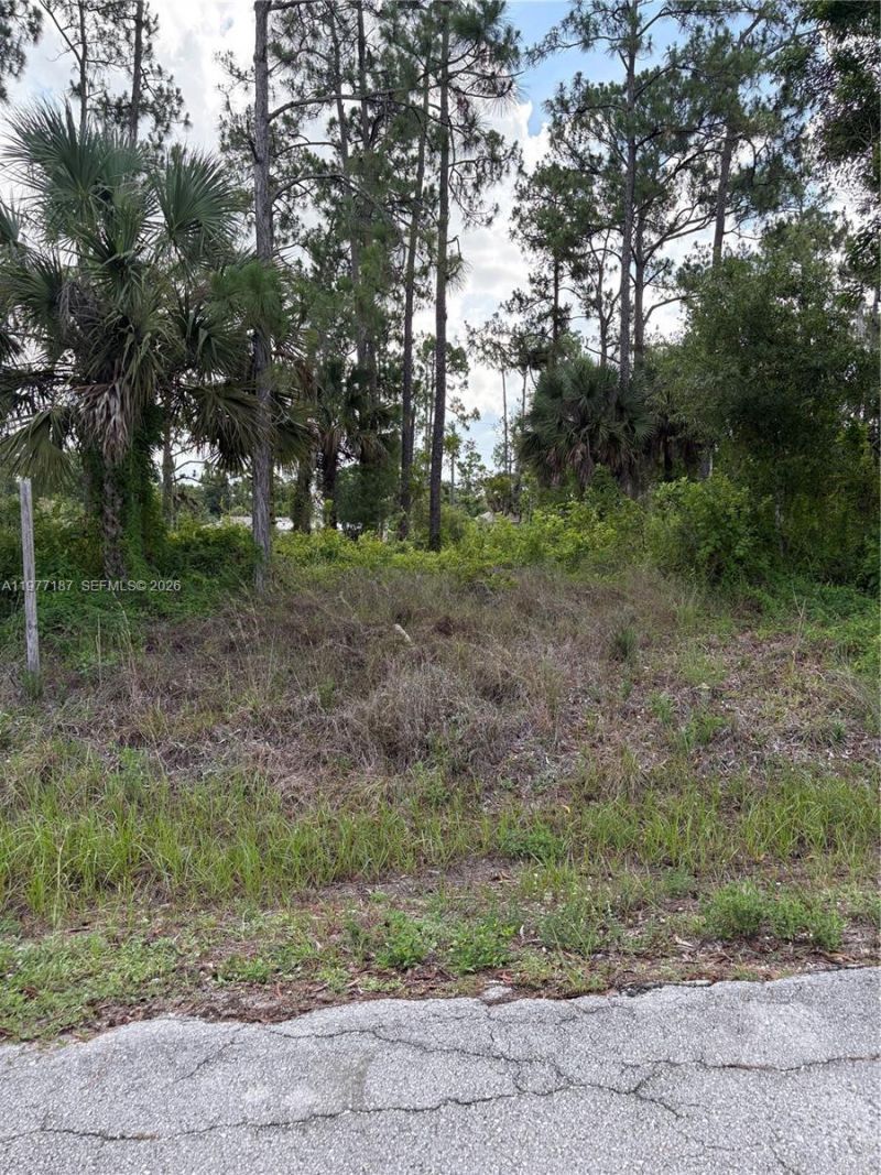 718 Columbus Avenue, Lehigh Acres, FL 33972 Photo