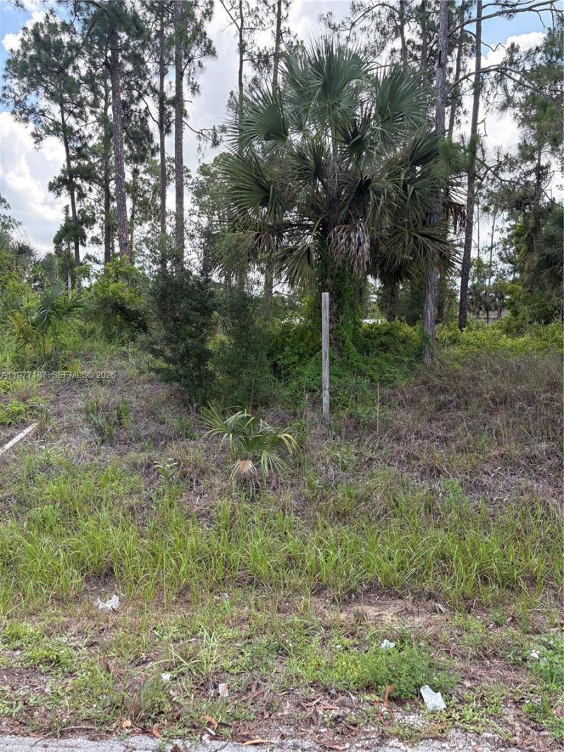 718 Columbus Avenue, Lehigh Acres, FL 33972 Photo