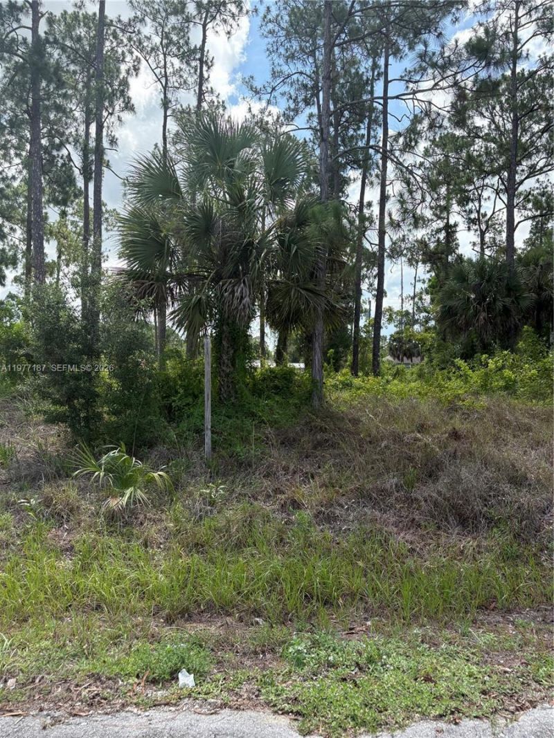 718 Columbus Avenue, Lehigh Acres, FL 33972 Photo