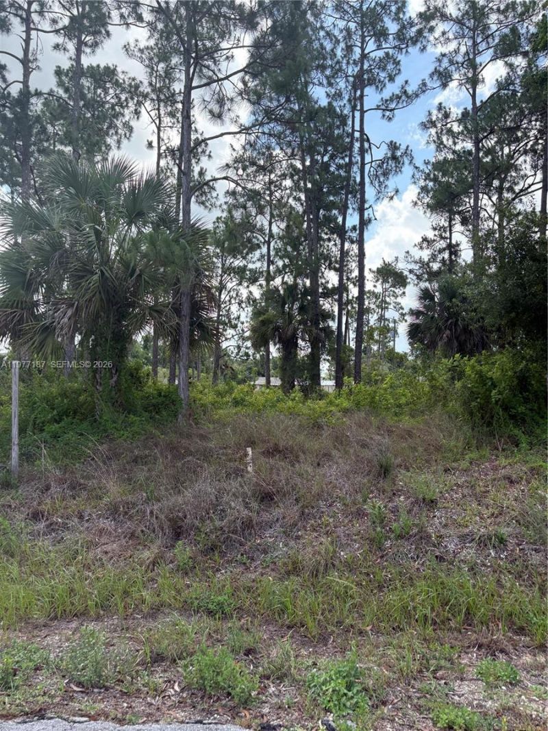 718 Columbus Avenue, Lehigh Acres, FL 33972 Photo
