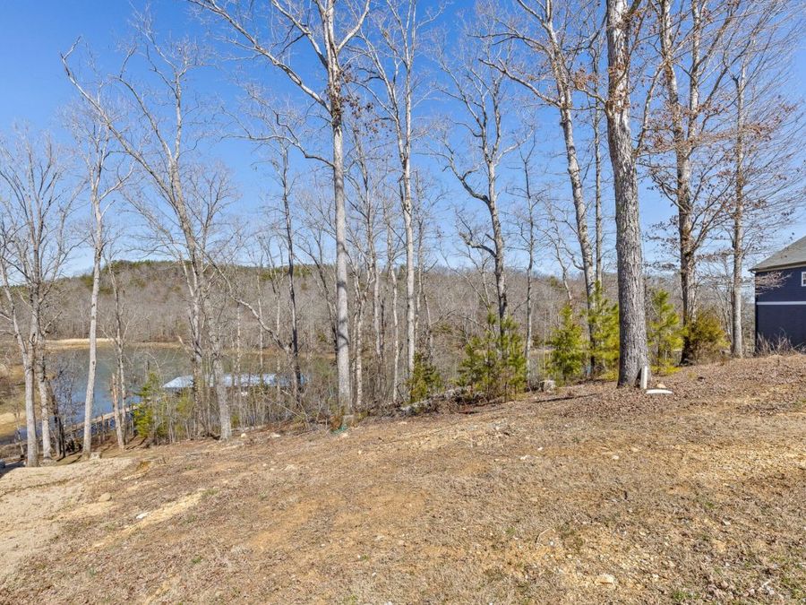 Property Image 61