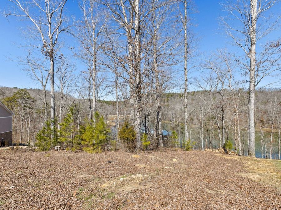 Property Image 62