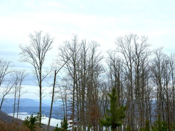 0 Wohalie Lane, South Pittsburg, TN 37380