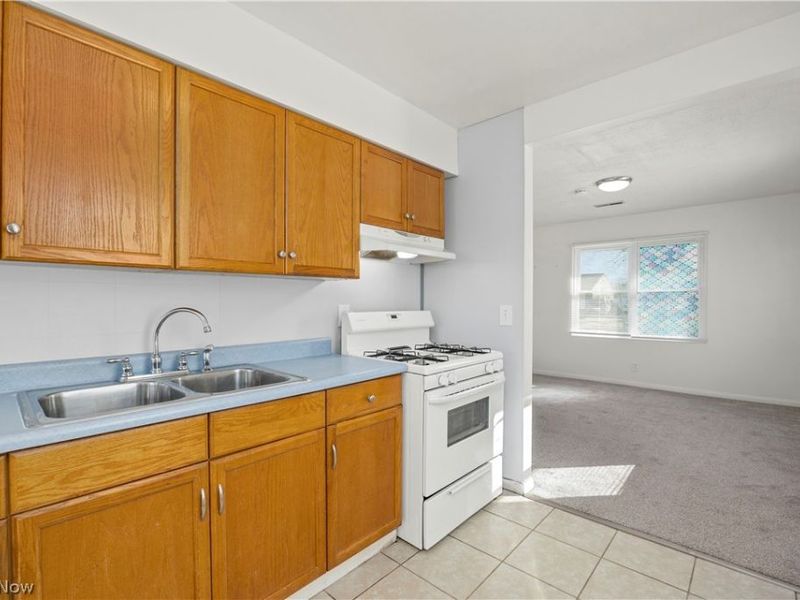 171 S Logan Street, Elyria, OH 44035 Photo 7