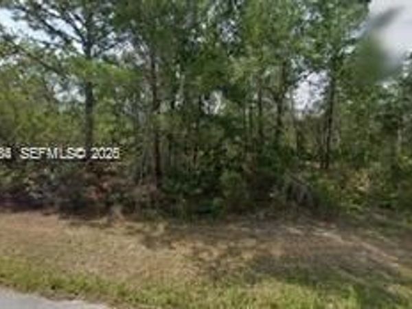 6182 N Buckland Dr , Citrus Springs, FL 34434
