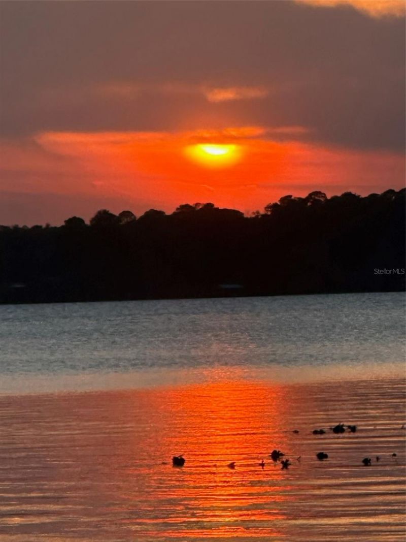 108 Maple Terrace, Florahome, FL 32140 Photo