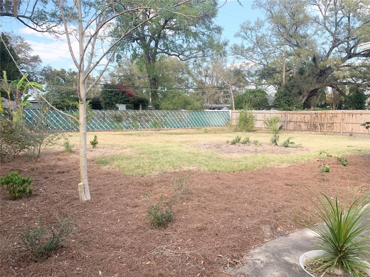 2701 Nancy Street, Orlando, FL 32806 Photo