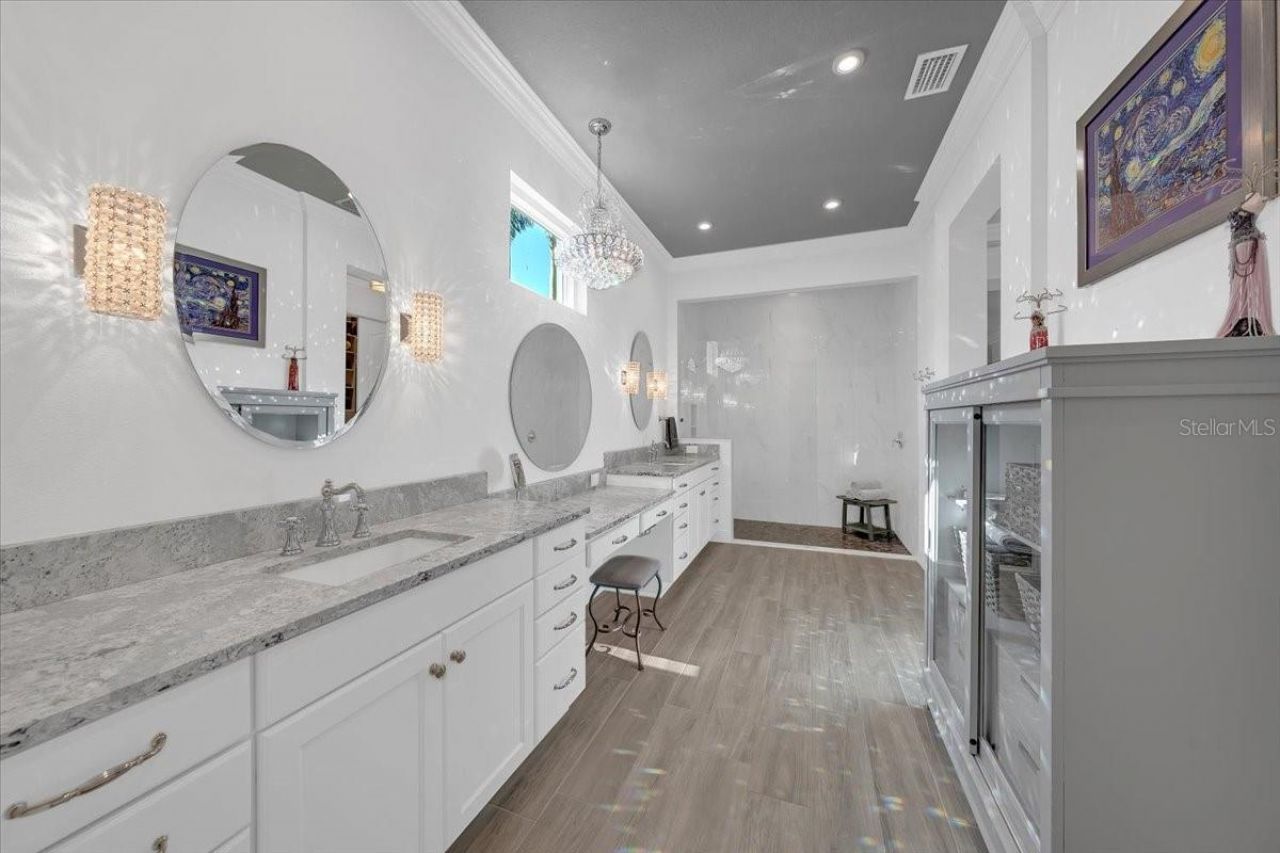 732 Manns Harbor Drive, Apollo Beach, FL 33572 Photo