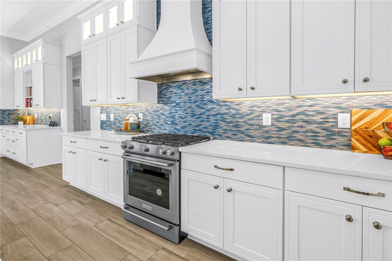 732 Manns Harbor Drive, Apollo Beach, FL 33572 Photo