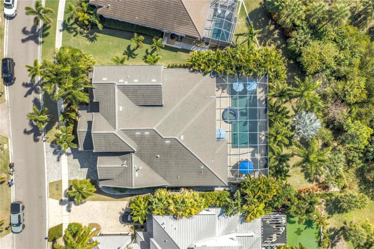 732 Manns Harbor Drive, Apollo Beach, FL 33572 Photo