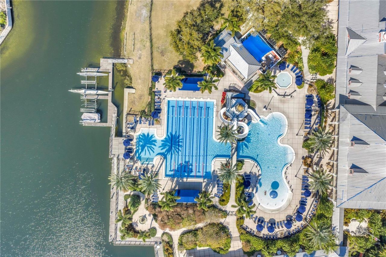 732 Manns Harbor Drive, Apollo Beach, FL 33572 Photo