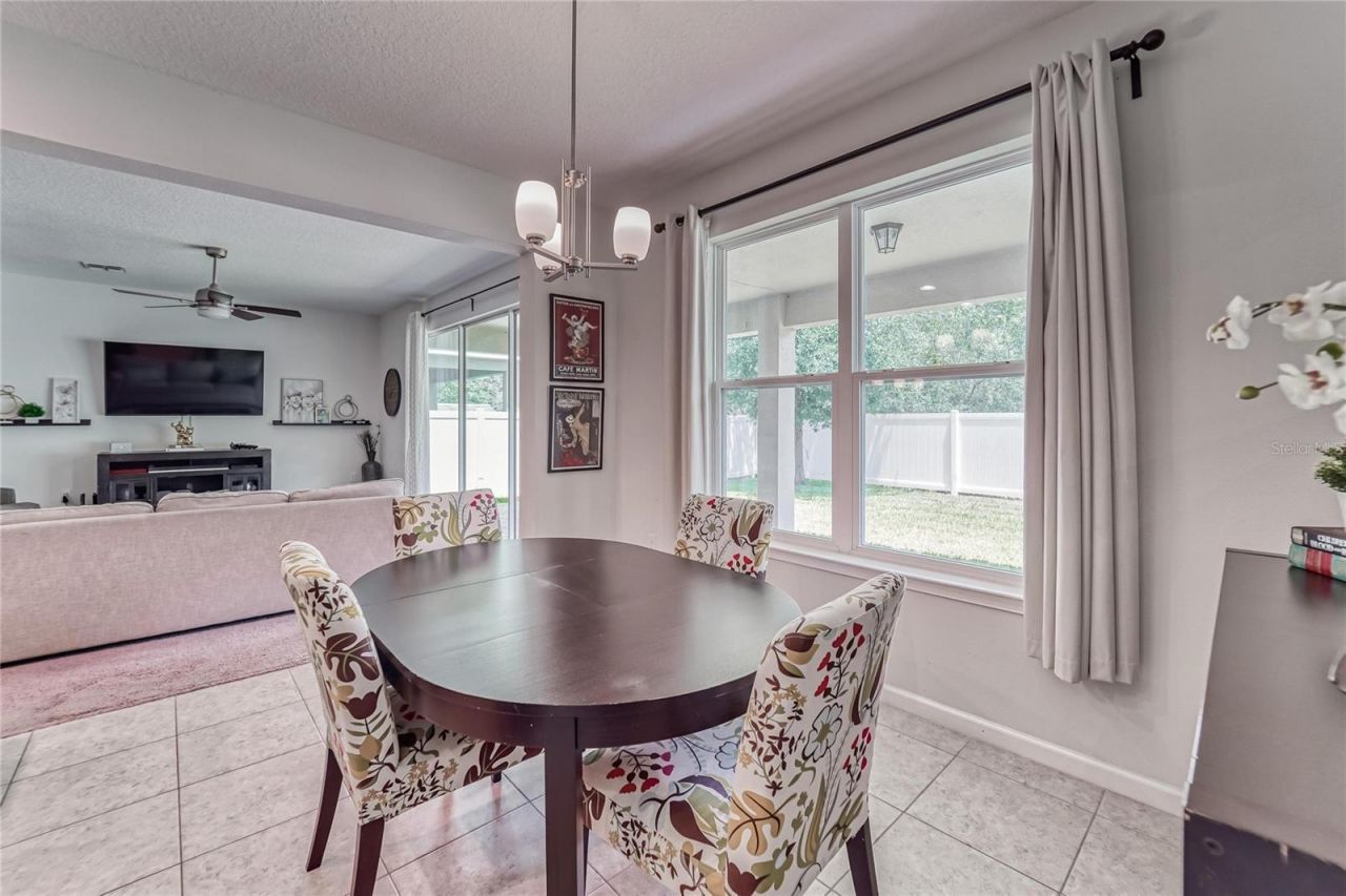 12358 Streambed Drive, Riverview, FL 33579 Photo