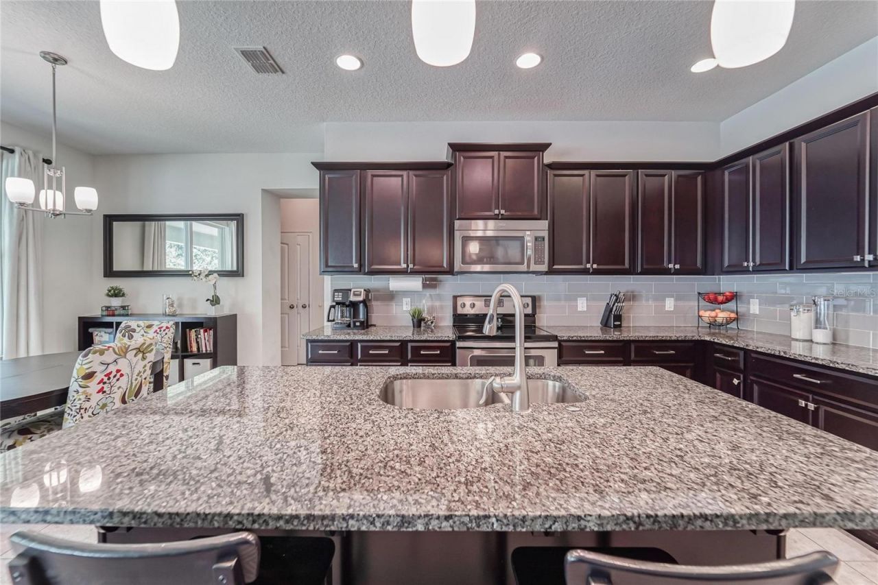 12358 Streambed Drive, Riverview, FL 33579 Photo