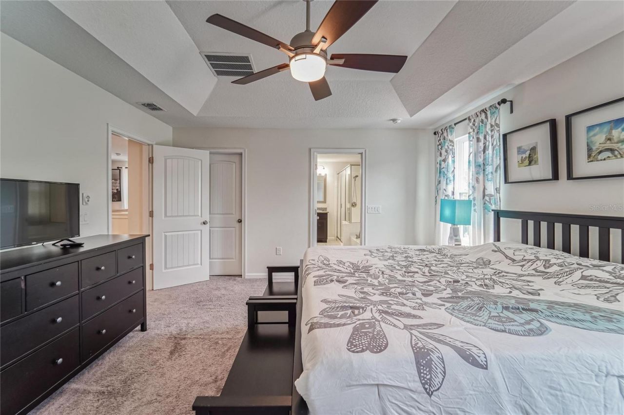 12358 Streambed Drive, Riverview, FL 33579 Photo