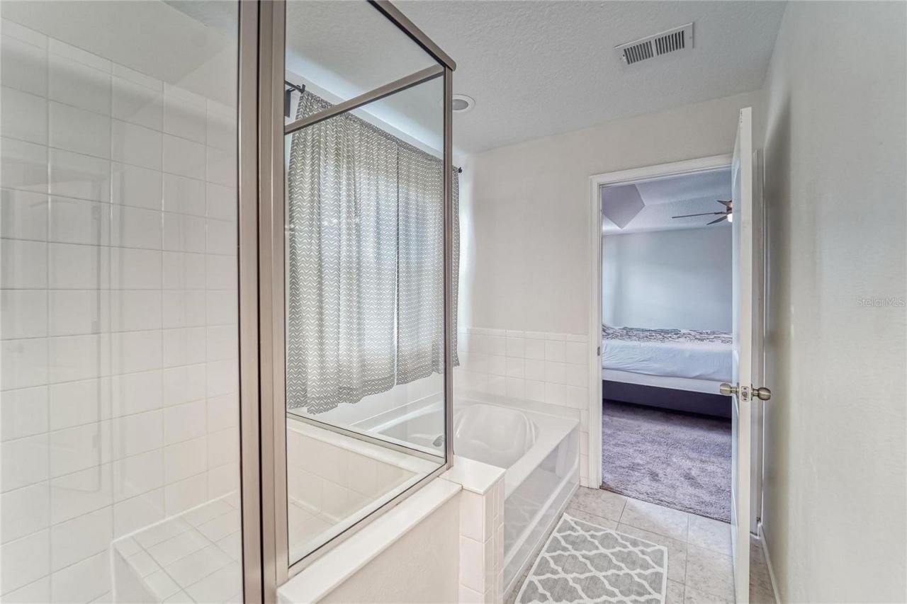 12358 Streambed Drive, Riverview, FL 33579 Photo