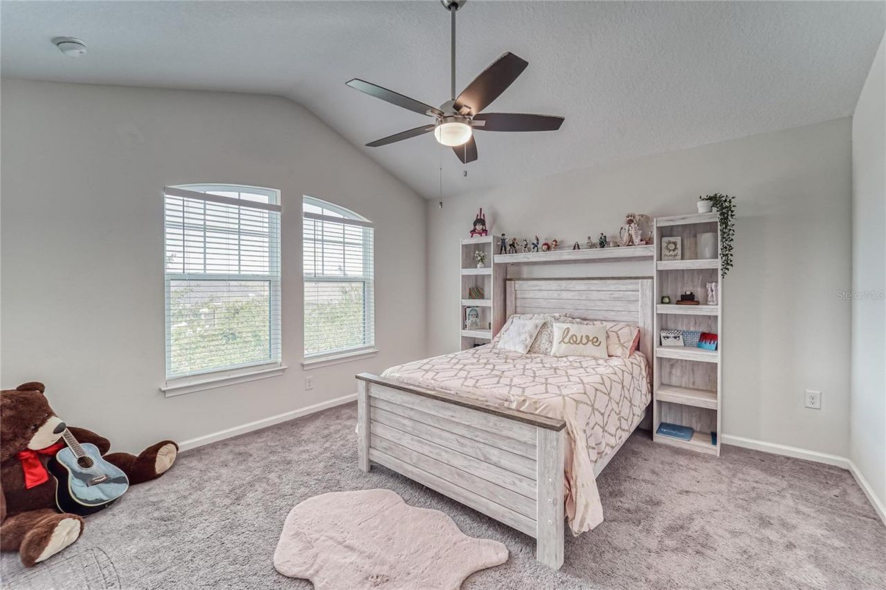 12358 Streambed Drive, Riverview, FL 33579 Photo