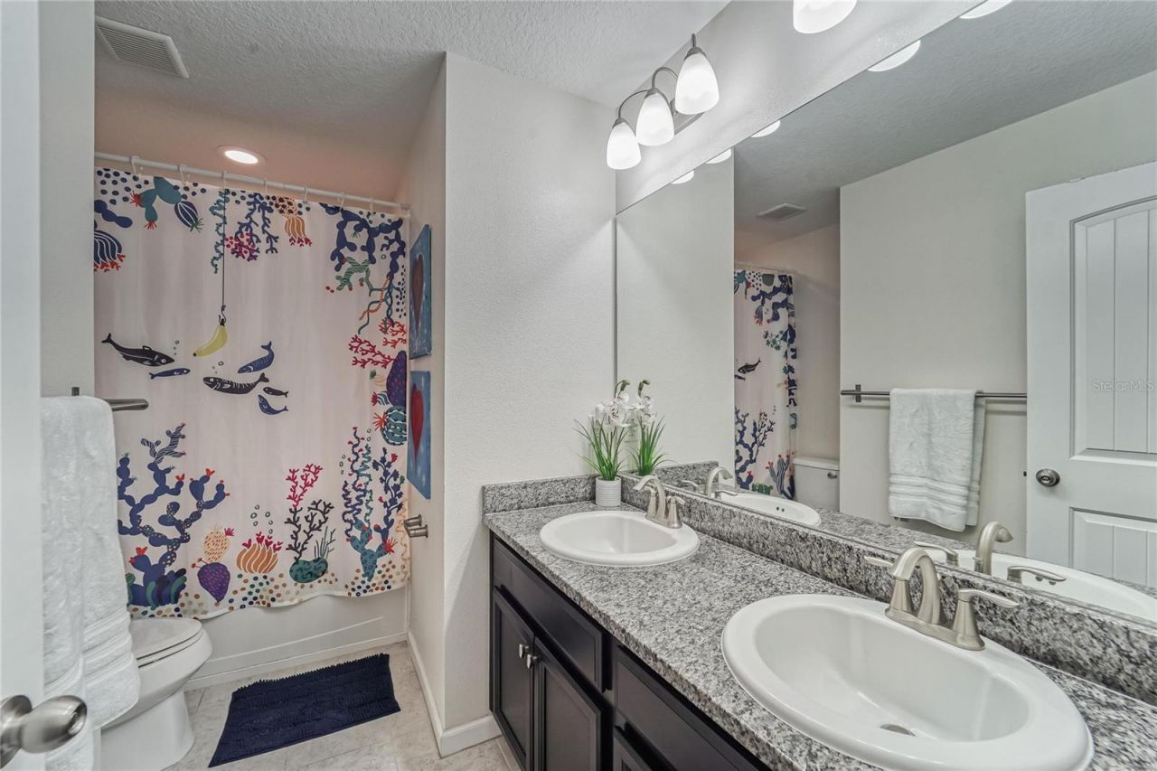 12358 Streambed Drive, Riverview, FL 33579 Photo