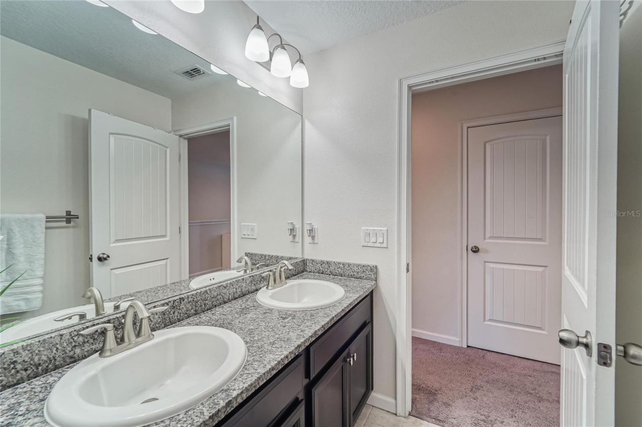 12358 Streambed Drive, Riverview, FL 33579 Photo