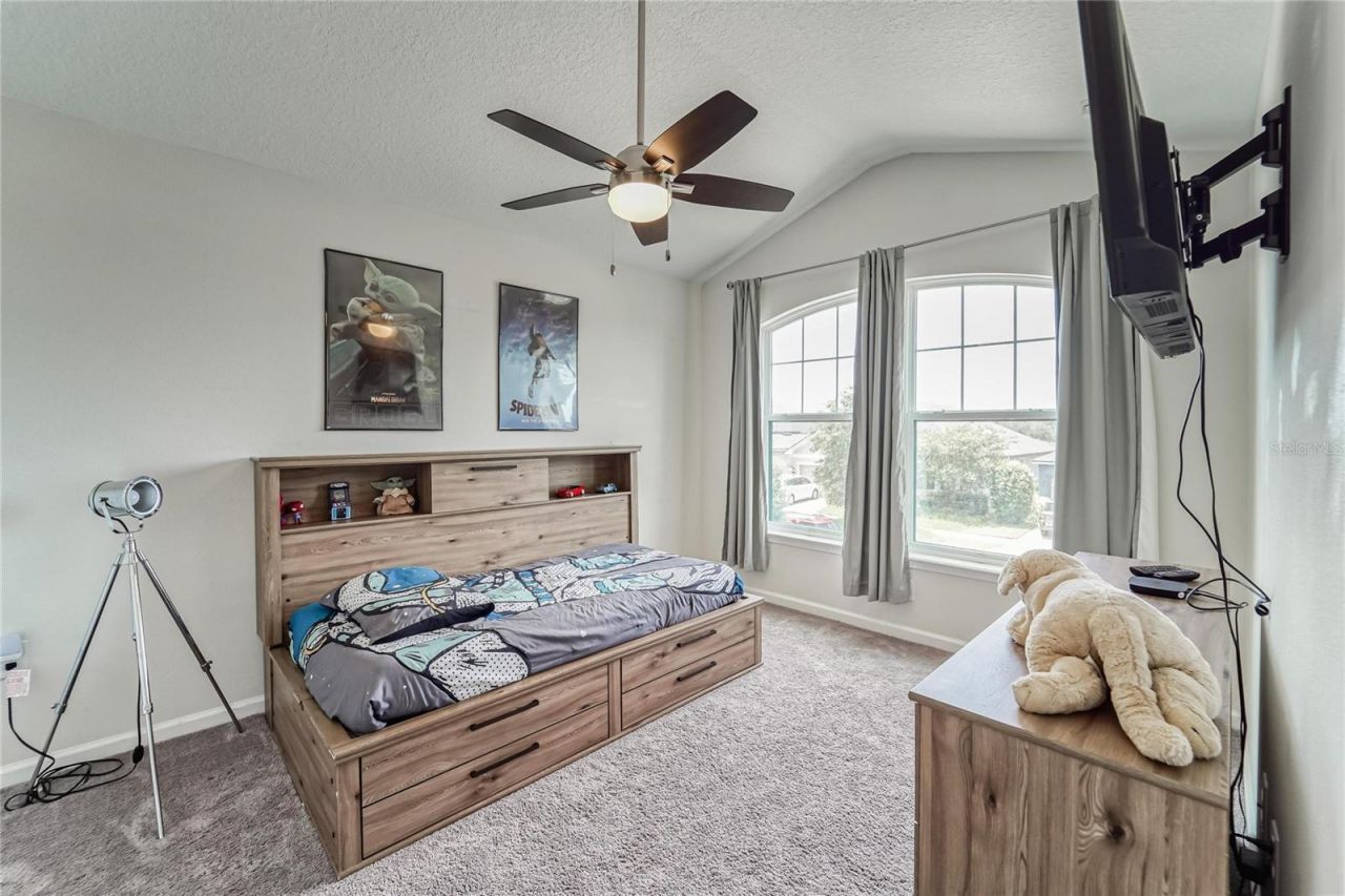 12358 Streambed Drive, Riverview, FL 33579 Photo