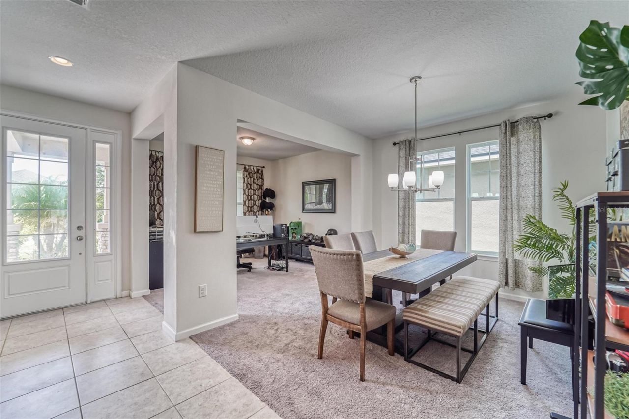 12358 Streambed Drive, Riverview, FL 33579 Photo