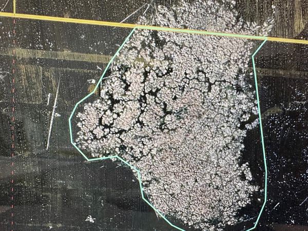 ISLAND DRIVE, Iola, WI 54945