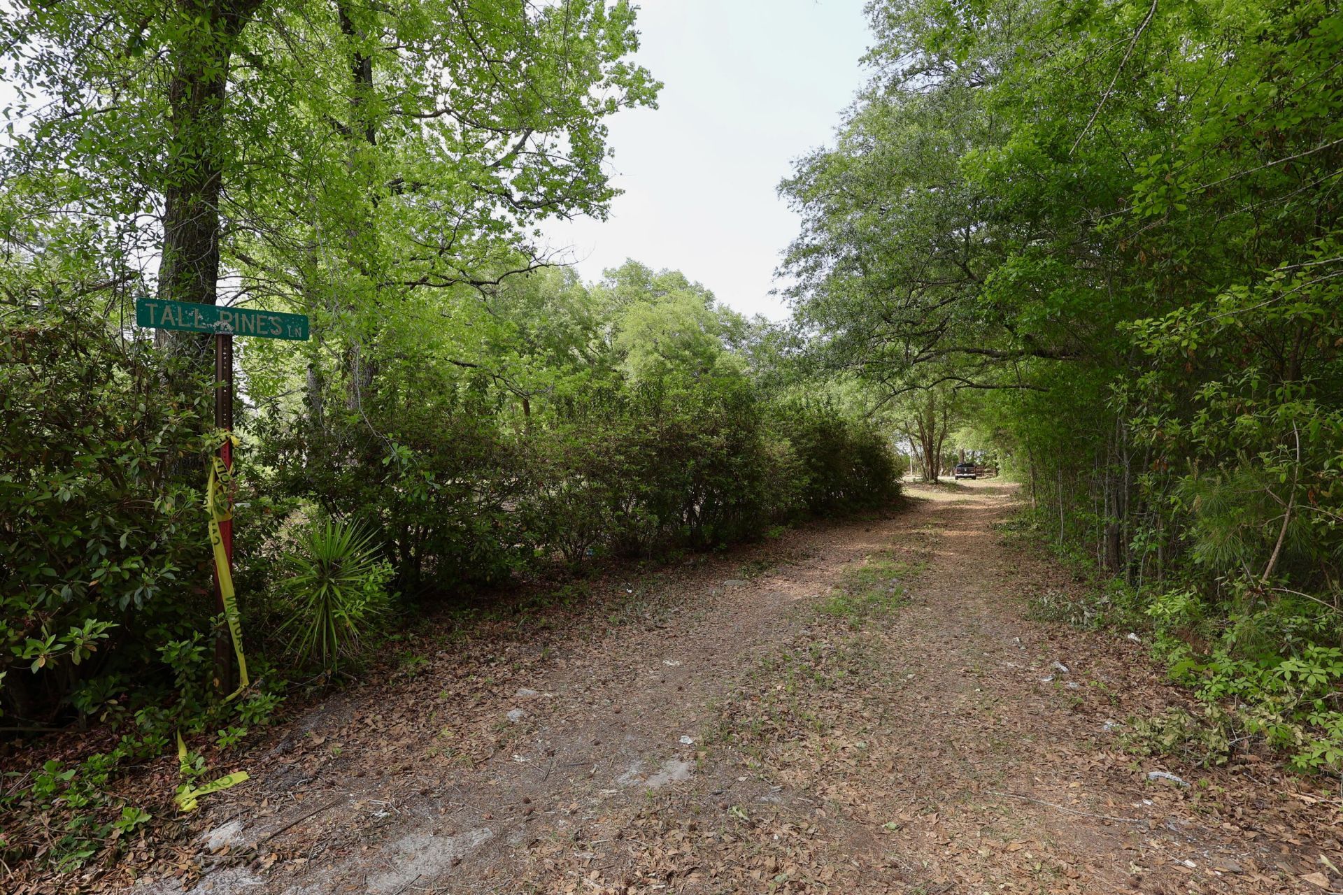 0 Mill Pond Road Photo 10