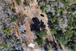 0 Mill Pond Road photo 4