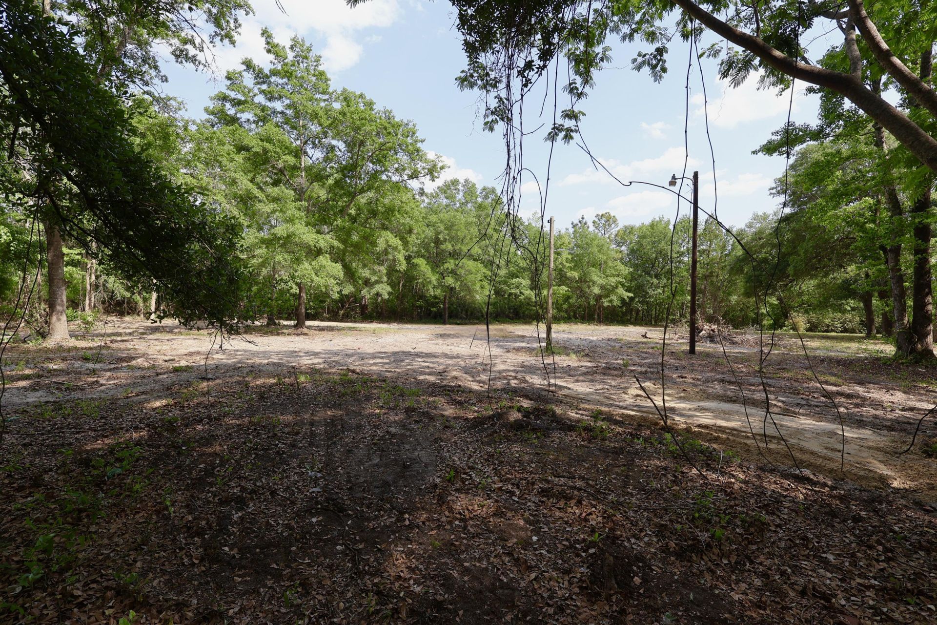 0 Mill Pond Road Photo 6