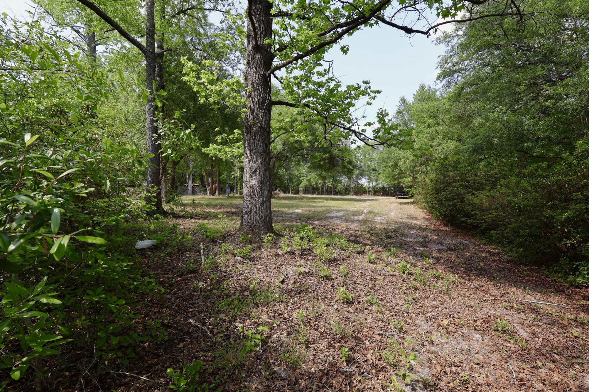 0 Mill Pond Road Photo 9
