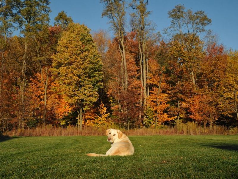 204 S Main Street, Milan, OH 44846 Photo 65