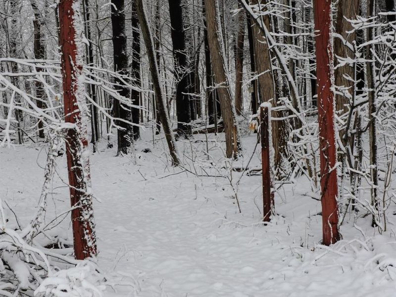 204 S Main Street, Milan, OH 44846 Photo 66