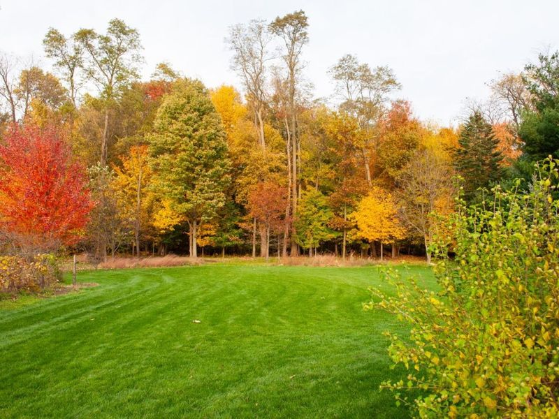 204 S Main Street, Milan, OH 44846 Photo 67