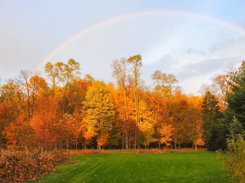 204 S Main Street, Milan, OH 44846 Photo 70