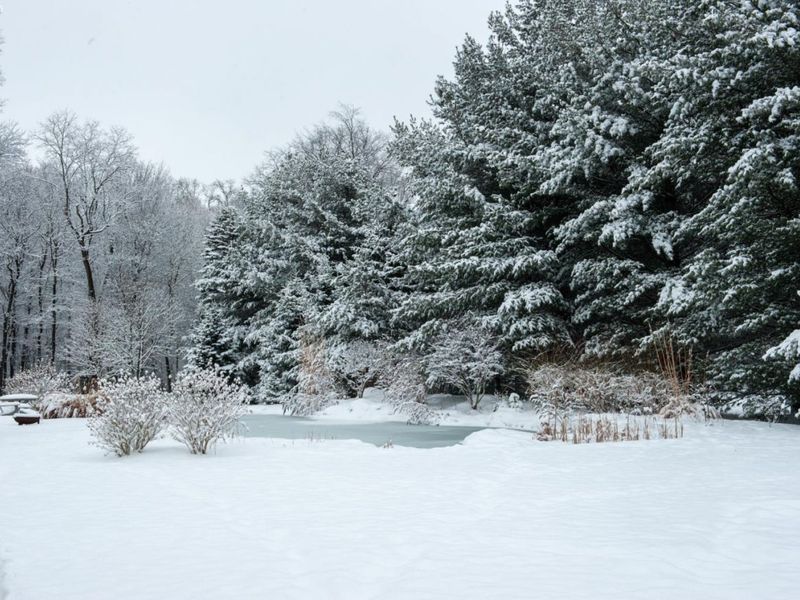 204 S Main Street, Milan, OH 44846 Photo 72